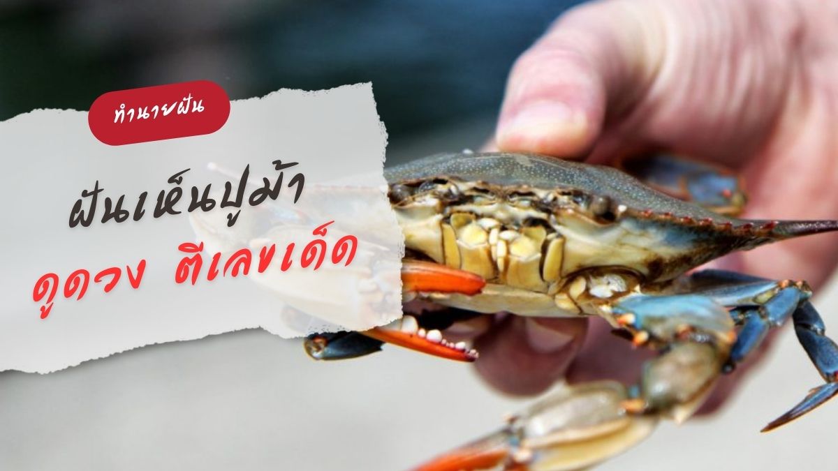 ฝันเห็นปูม้า