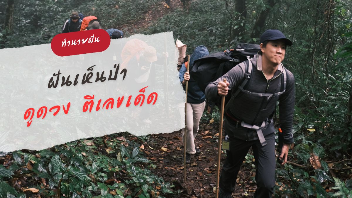 ฝันเห็นป่า