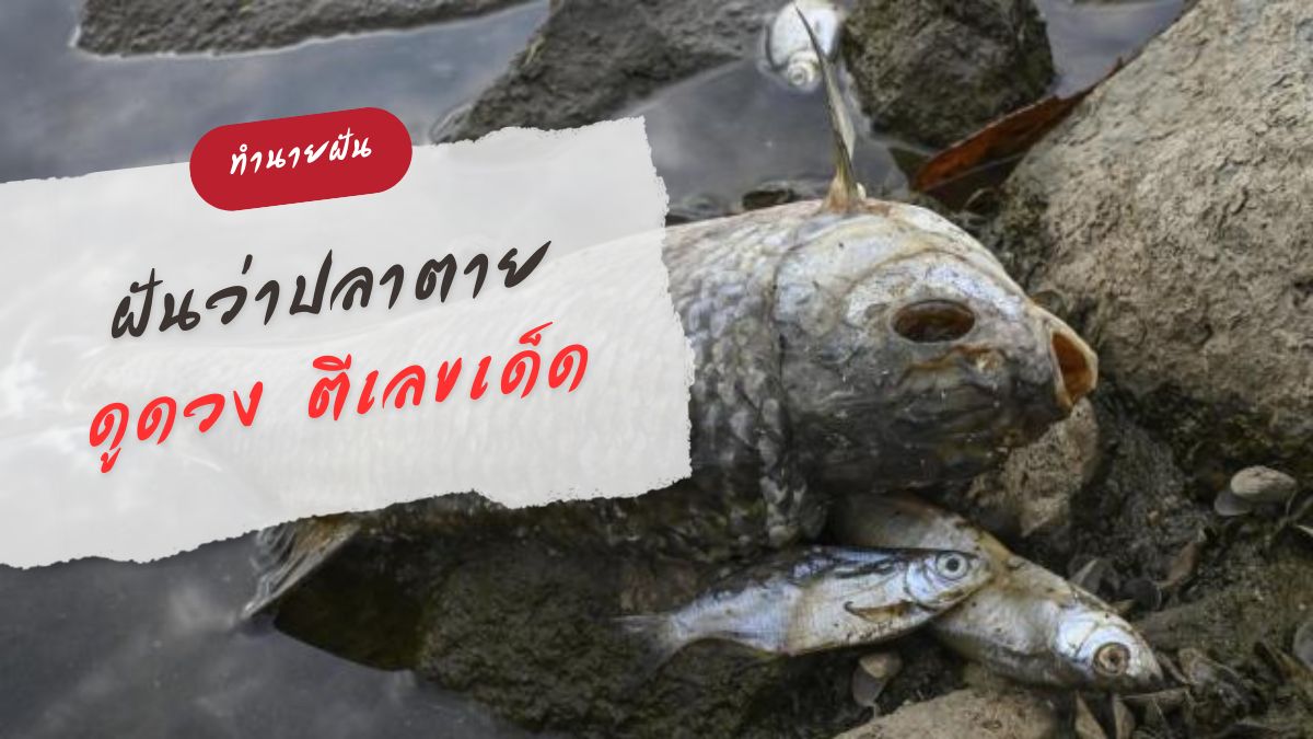 ฝันว่าปลาตาย
