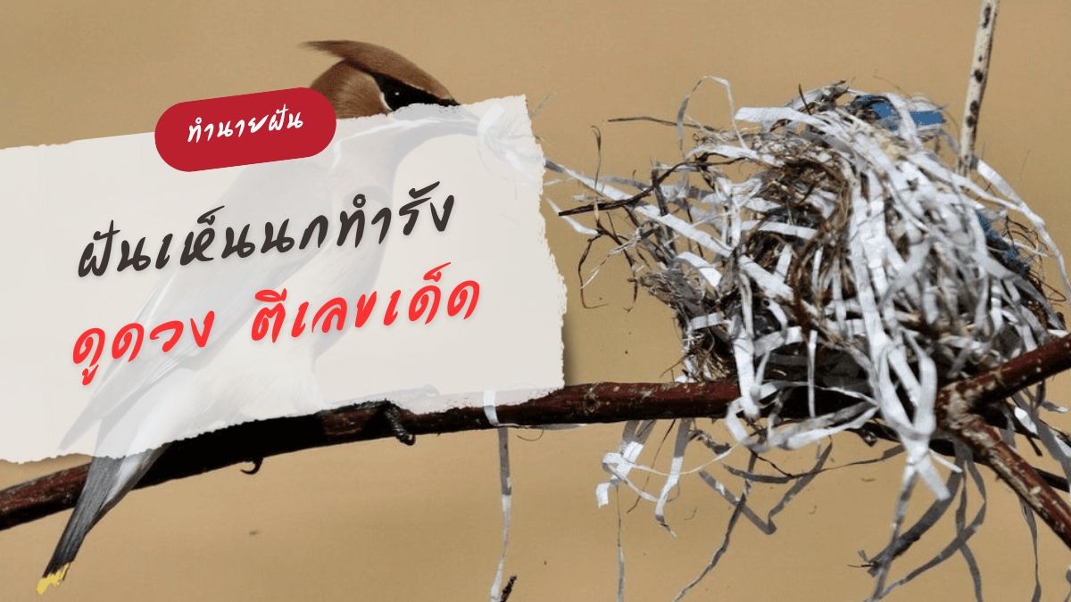 ฝันเห็นนกทำรัง