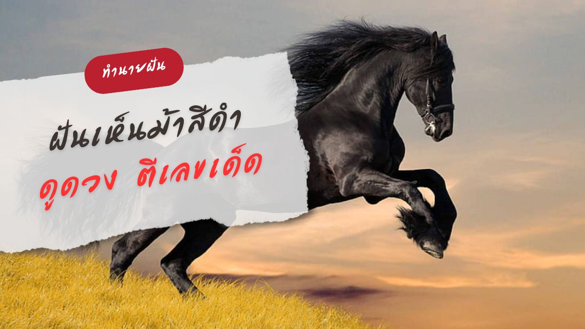 ฝันเห็นม้าสีดำ